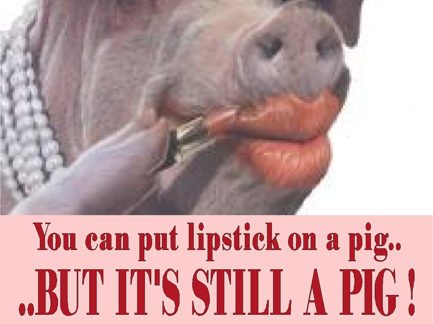 lipstick-on-a-pig-2a.jpg