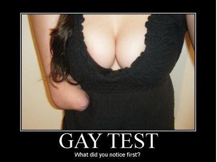 gay_test.jpg