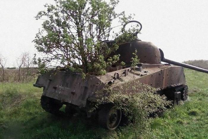 abandoned-army-tanks-that-have-become-a-part-of-nature-8.jpg