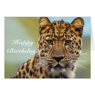 happy_birthday_leopard_greeting_card-r8fd672d70461444b909732df1ea8d511_xvuak_8byvr_324.jpg