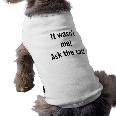 it_wasnt_me_ask_the_cat_dog_shirt-p1551977928711927282vfyw_400.jpg