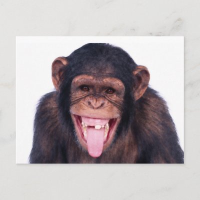 laughing_monkey_postcard-p239361111841485169envli_400.jpg