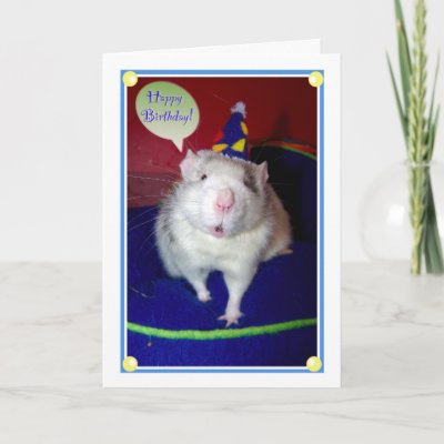 rat_birthday_card-p137324348073445714b2icl_400.jpg
