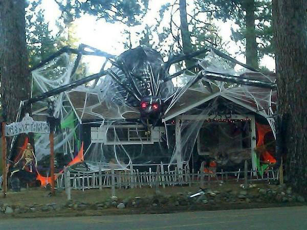 funny-pics-of-cool-halloween-deocrations-best-halloween-decorations-giant-spider.jpg