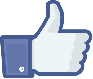 Facebook-Like-Thumb-300x256.png