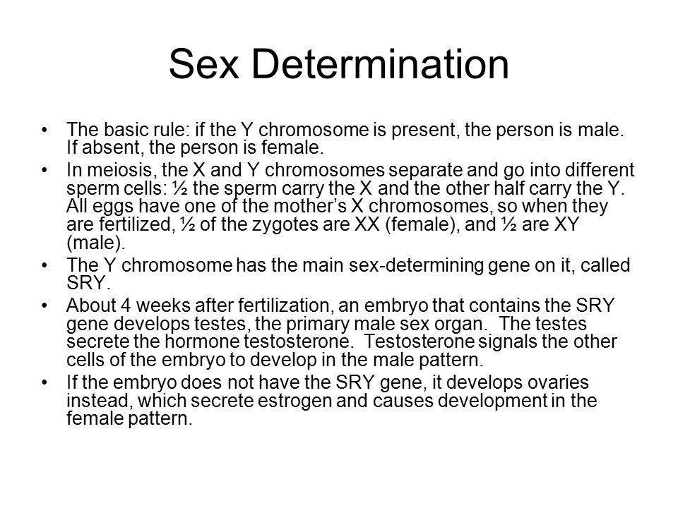 Sex+Determination+The+basic+rule%3A+if+the+Y+chromosome+is+present%2C+the+person+is+male.+If+absent%2C+the+person+is+female..jpg