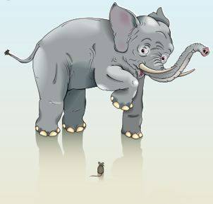 elephant-mouse.jpg