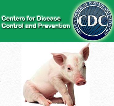cdc-swine-flu.jpg