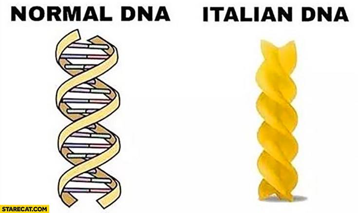 normal-dna-italian-dna-comparison.jpg