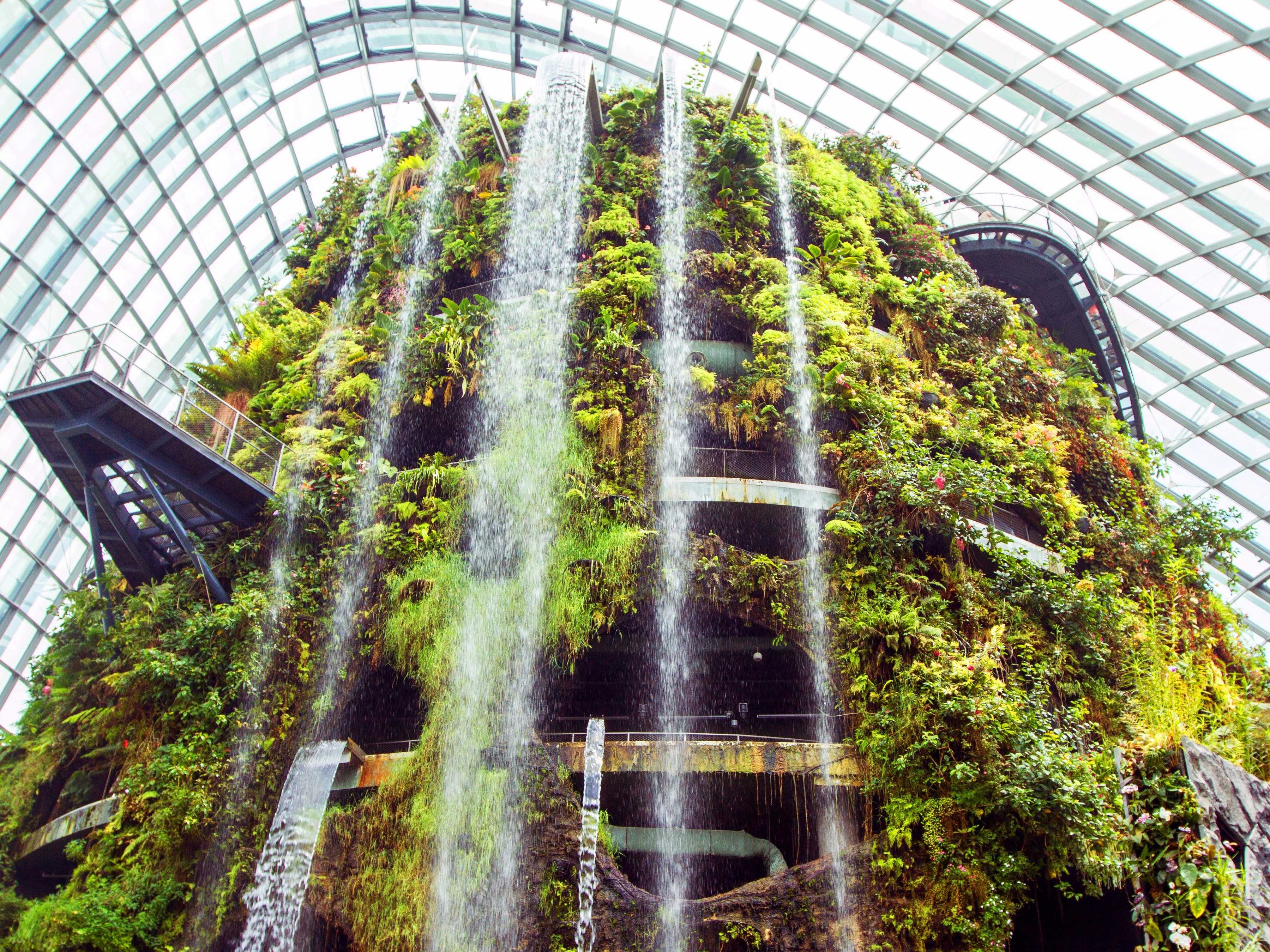 a-park-in-singapore-is-home-to-solar-powered-supertrees-and-an-incredible-indoor-waterfall.jpg