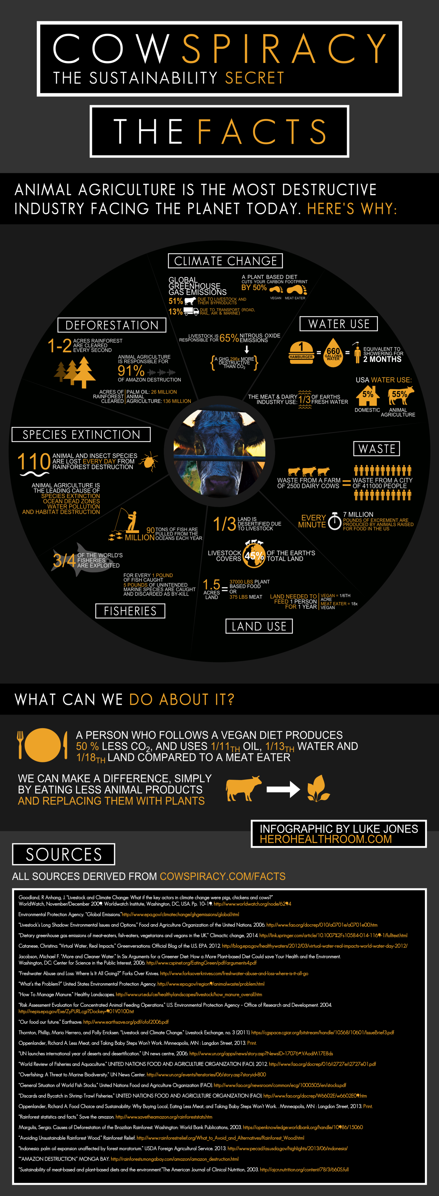 Cowspiracy-Infographic.png
