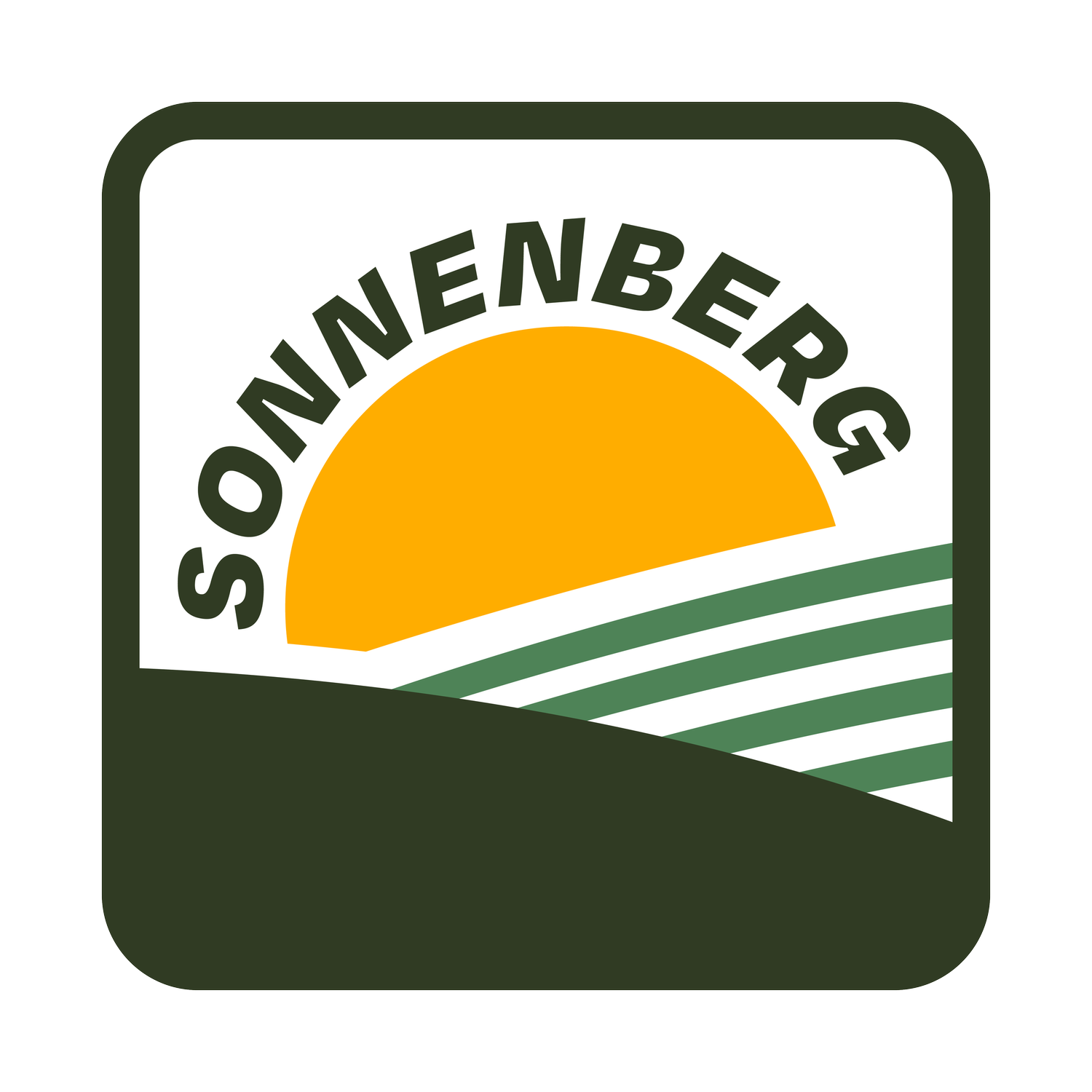 www.sonnenbergforcongress.com