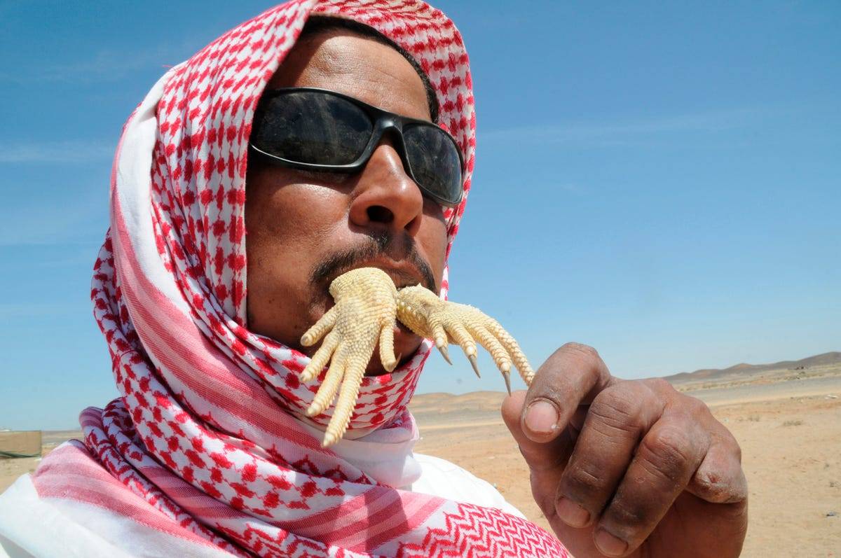 in-tabuk-saudi-arabia-a-man-eats-an-uromastyx-lizard-also-known-as-a-dabb-lizard-these-animals-served-cooked-or-raw-are-thought-to-strengthen-the-body-and-treat-diseases.jpg