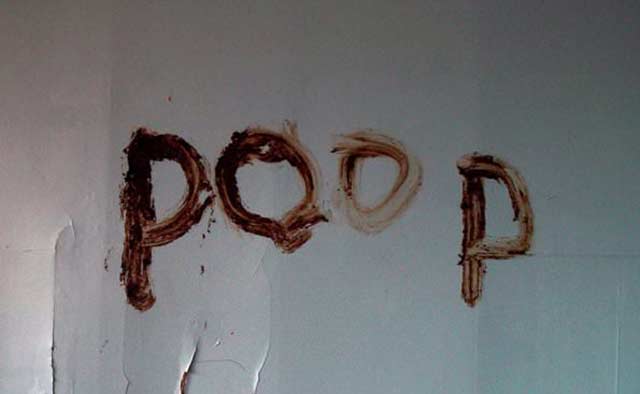 poop-on-wall.jpg