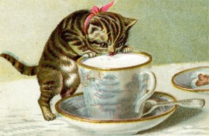 kitten-sipping-tea.jpg