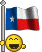 th_Texas_flag.gif