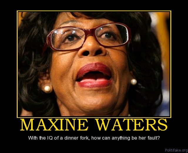 maxine-waters-the-audacity-of-denial-political-poster-1281869962.jpg