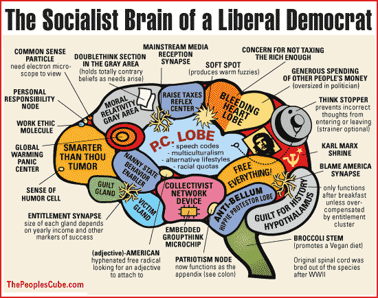 Brain_Socialist_550.gif