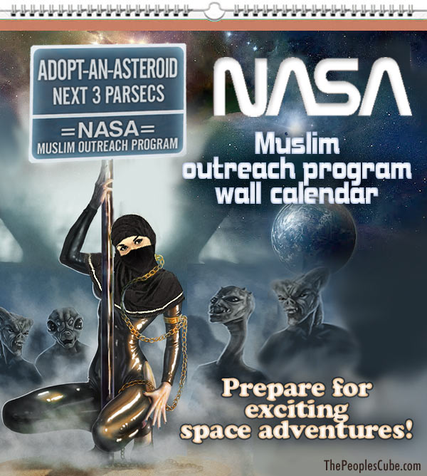 Muslim_Astronaut_Pole_D_2.jpg