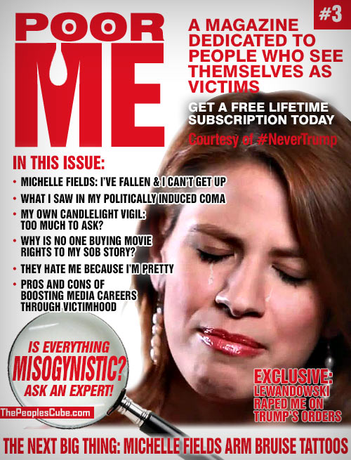 Poor_Me_Magazine_Issue_3_Fields.jpg