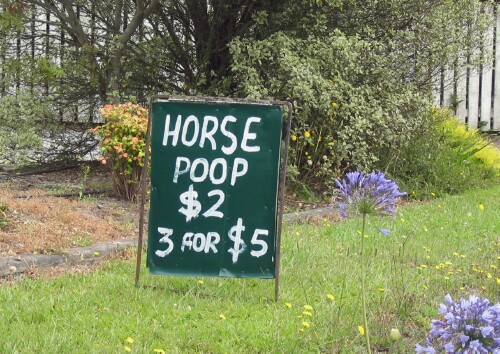 horse-poop-sign.jpg