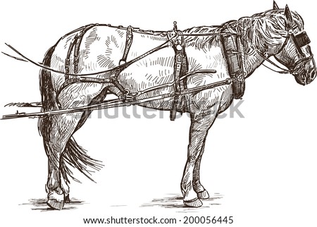 stock-vector-harness-horse-200056445.jpg