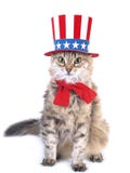 patriotic-cat-8286963.jpg