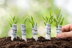 person-planting-money-plants-close-up-s-hand-saplings-covered-american-dollars-50582410.jpg