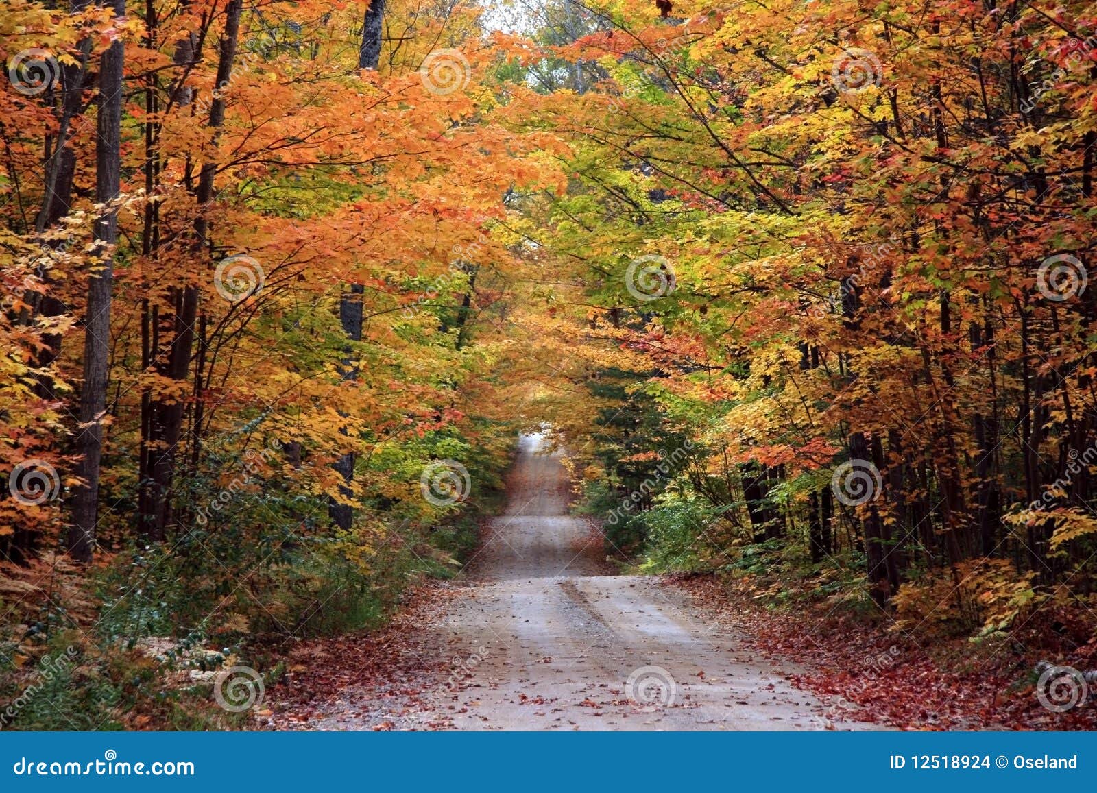 beautiful-fall-color-12518924.jpg