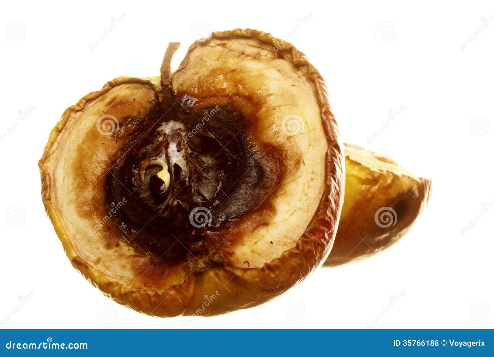 rotten-apple-halves-isolated-food-waste-disgusting-white-background-35766188.jpg