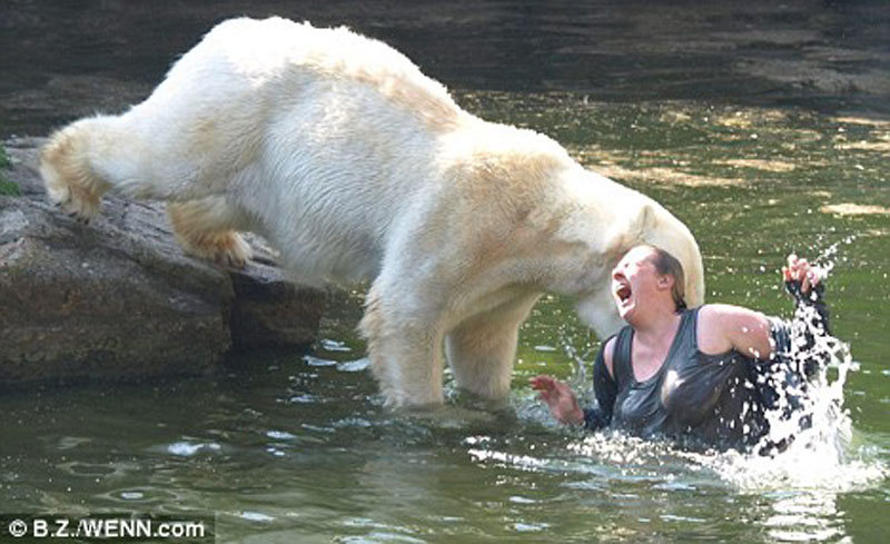 polar-bear-attack.jpg