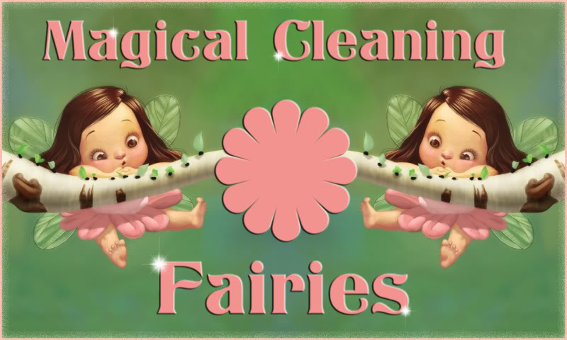 fairy_cleaning.jpg
