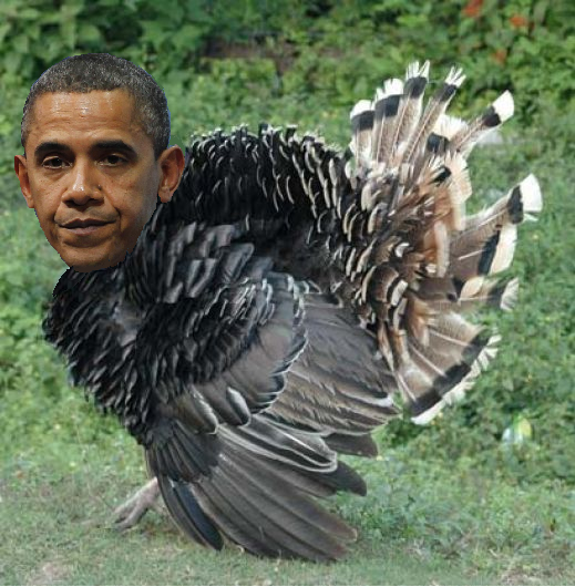 Obama-turkey.png