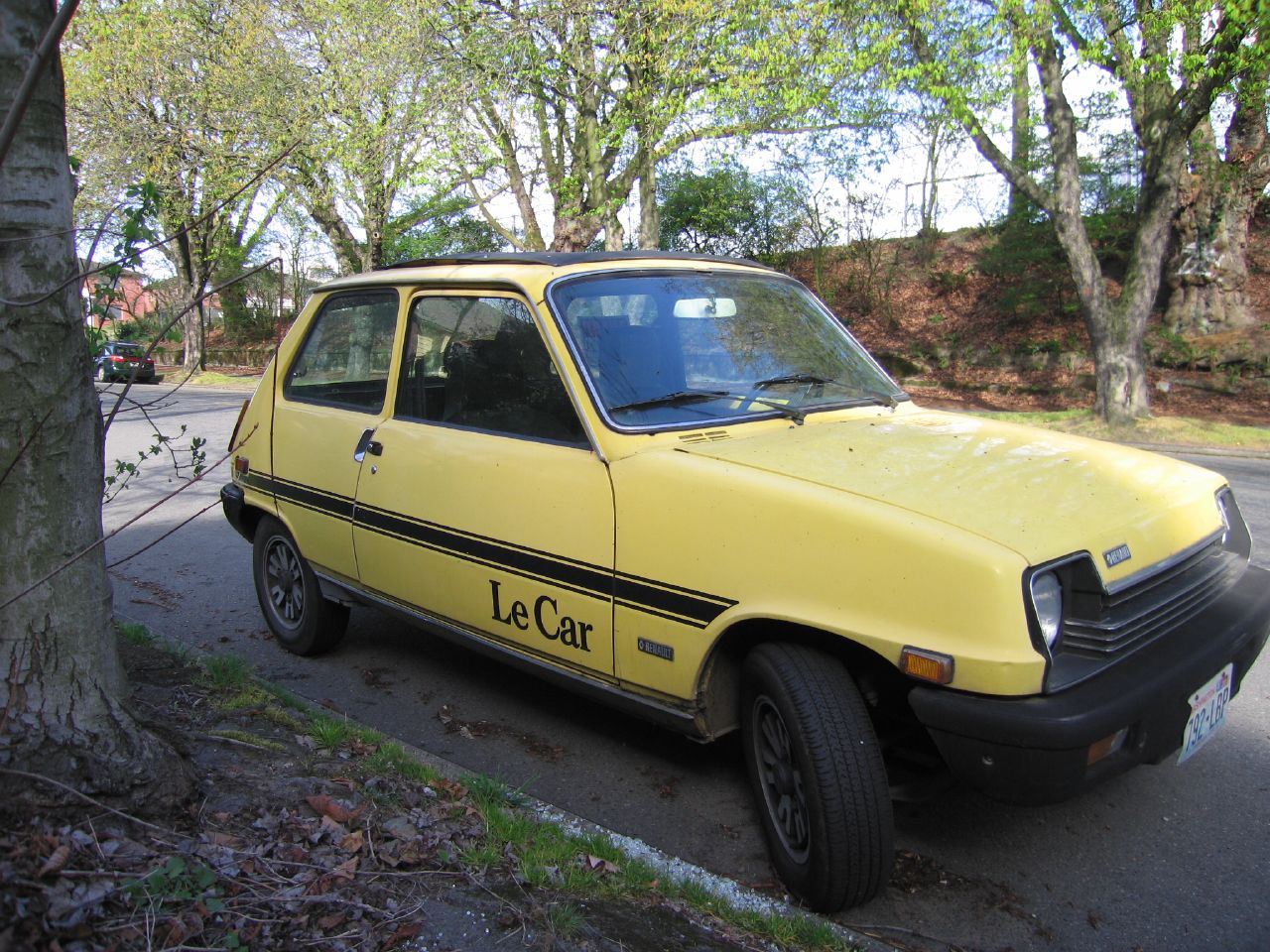 Renault5-Le_Car.jpg
