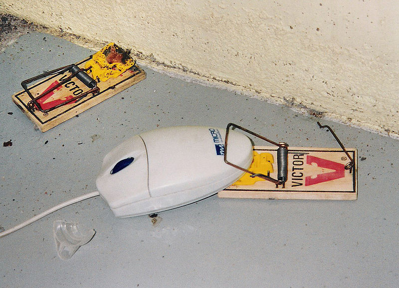 800px-Computer_mouse_trap.jpg