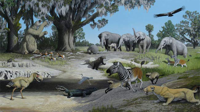 Pliocene-flora-and-fauna.jpg