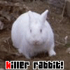 Killer-rabbit.gif