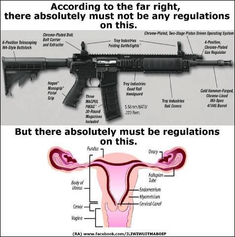 guns-vs-vagina_n.jpg