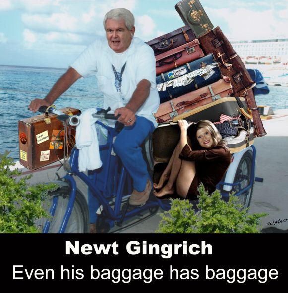 newt-baggage-bike.jpg