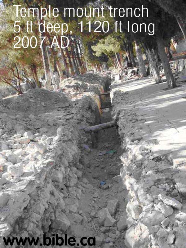 bible-archeology-muslim-archeologist-at-work-on-temple-mount-bull-dozer-electrical-trench2007ad-close.jpg