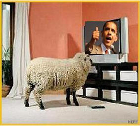 obama2-sheep-.jpg