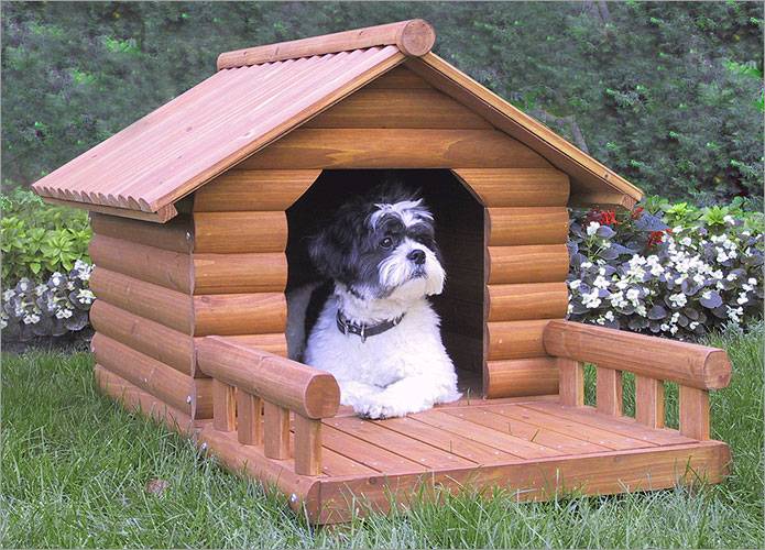 Dog-House.jpg