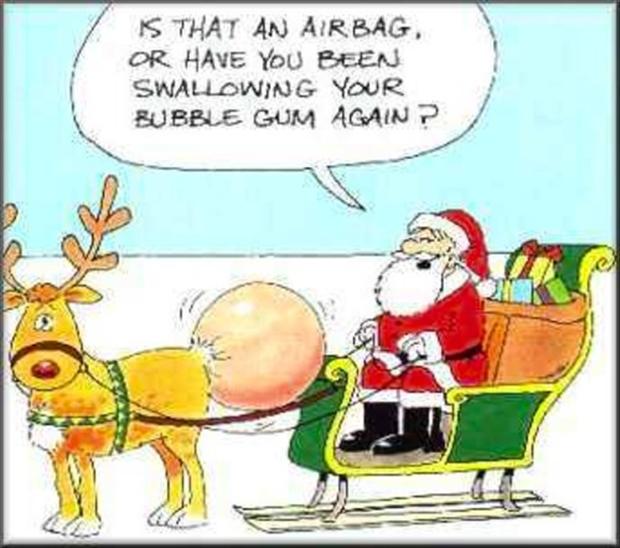 funny-christmas-pictures-20.jpg