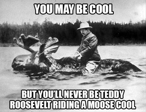 funny-pictures-teddy-roosevelt-riding-a-moose1.jpg