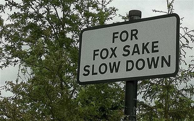 funny-road-signs1.jpg