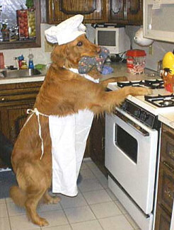 dog_kitchen.jpg