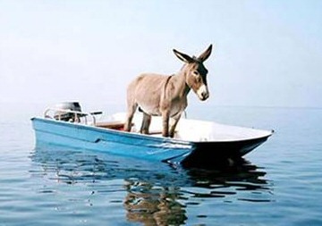donkey_boat.jpg