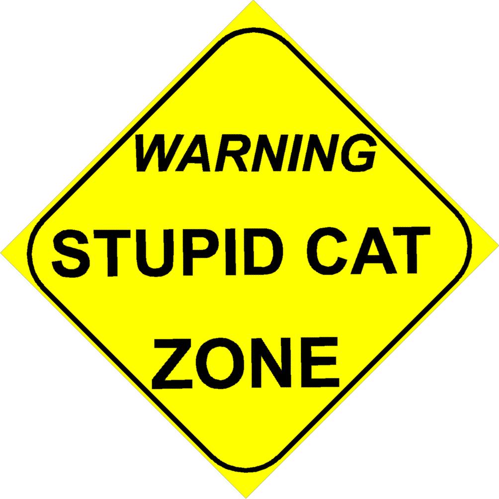 Zone_Stupid_cat.jpg