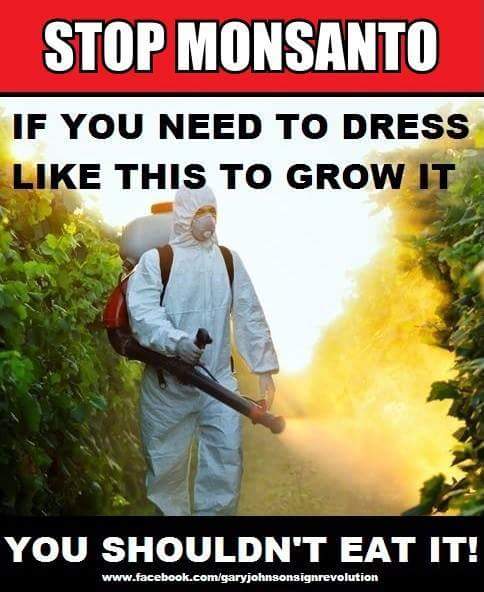 Monsanto-Food-GMO.jpg