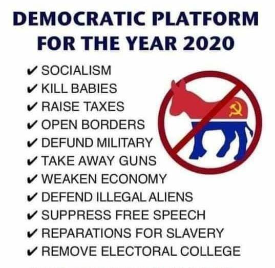 democrat-platform-20201.jpg